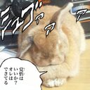 ねね (@22Tiida) Twitter