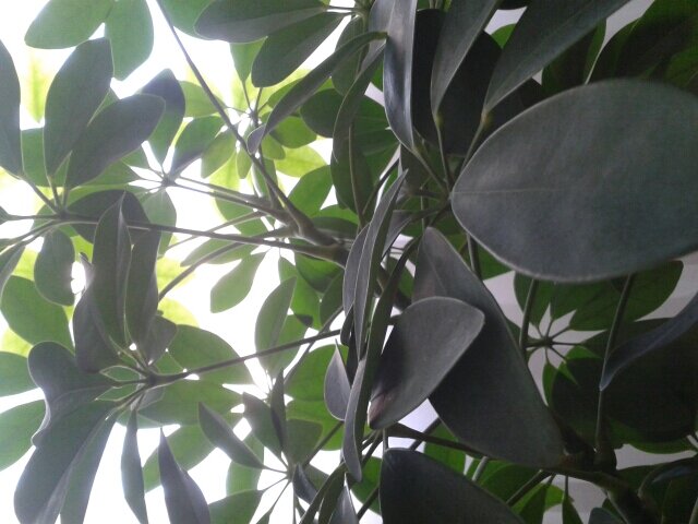 Marloquit's profile picture. 