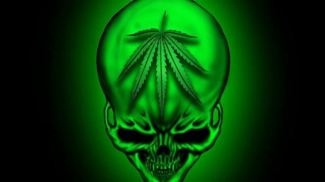 Smoke weed every day
