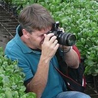 Haijo Dodde (@hdodde) 's Twitter Profile