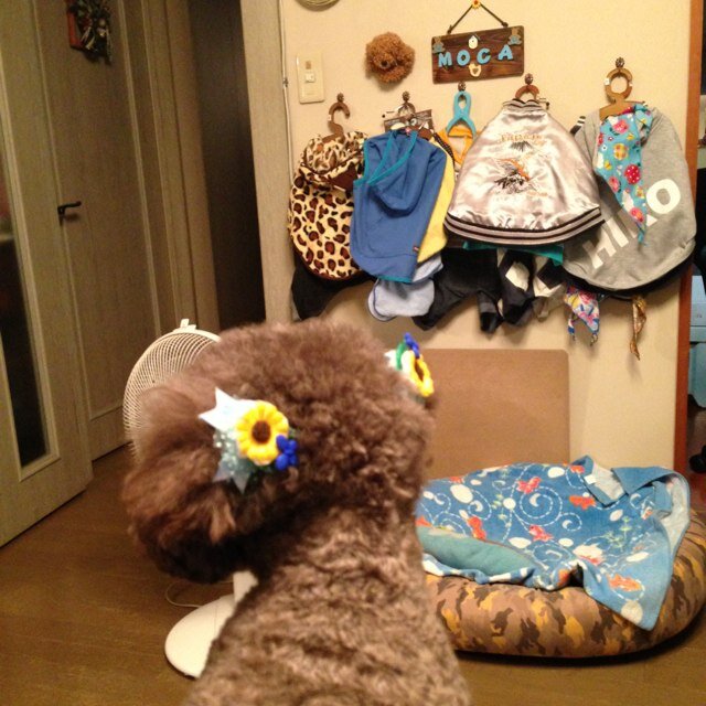 ExMoca1221's profile picture. 