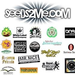 Cheap Cannabis Seeds Shipped DISCREETLY WORLDWIDE - Free Seeds with every order. Plus Wholesale Amounts http://t.co/S18fxJkIB8