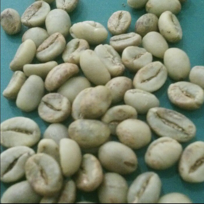 Indonesian locals Coffee / supplier/Coffee Collector / trader / coffee addicts

Contact: 0812-8742-3389/24DEEA62 (BBm)