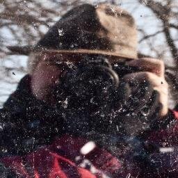 Local Graphic Designer, Video Editor, Photographer
