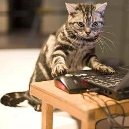 Official account for the Facebook page Internet Cats 🐱 The Internet is made of cats! ❤️...and some other animals. 📷https://t.co/9E49nnAmW1