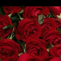 ام غند (@12_gygmb) Twitter profile photo