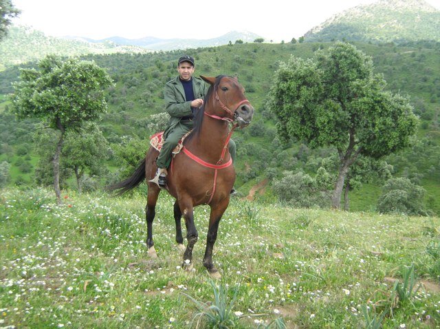 AllitiB's profile picture. 