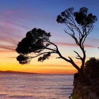 Marc Langefeld (@marcalexander08) 's Twitter Profile