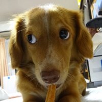 🍀MIYU🍀 (@happykaren223) Twitter profile photo