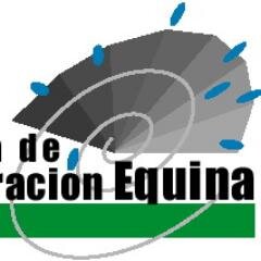 Sistema de Recuperación Equina - Presente en el Campeonato Argentino Abierto de Polo de Palermo desde 1997 - Instgram: https://t.co/PTnbozqIdC