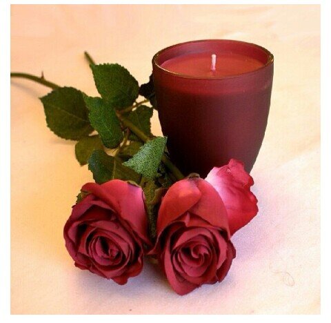 algory543's profile picture. 