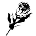 Suikerbossie (@suikerbossiehb) Twitter profile photo Suikerbossie (@suikerbossiehb) Twitter profile photo