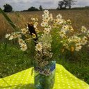 dorota molen (@1966Dorota) Twitter
