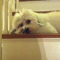 Wally Whistler (@parksidelinen) 's Twitter Profile