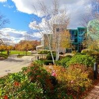 Student Activities (@brandeisdsa) 's Twitter Profile