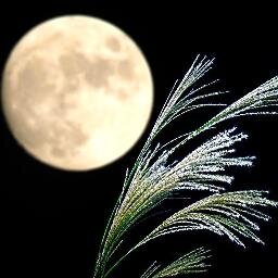 フォロワーの皆様こんにちは。あらためてフォロー感謝いたします。わたくし非常にメモリーの少ない人間でして、フォローばかりしてるとパンクしてしまいます。なにとぞご容赦のほどを。