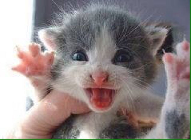 katsuo8778's profile picture. 学術的な論文や古書を読んだり研究するのが好きです。#相互フォロー#follow back