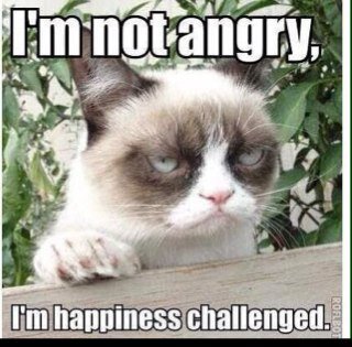 sycamoretree266's profile picture. 