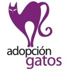 Adopción Gatos es una red de  albergues de gatos rescatados del abandono. Nuestra misión es rescatarlos,recuperarlos y encontrarles un buen hogar.