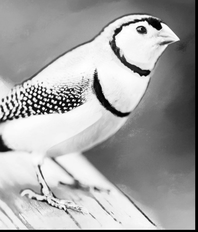 xtrawesomeness's profile picture. Cancel