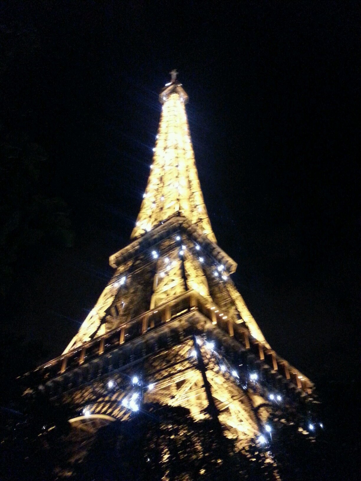 treesrrgreen's profile picture. butcher, baker, wine drinker,candlestick maker