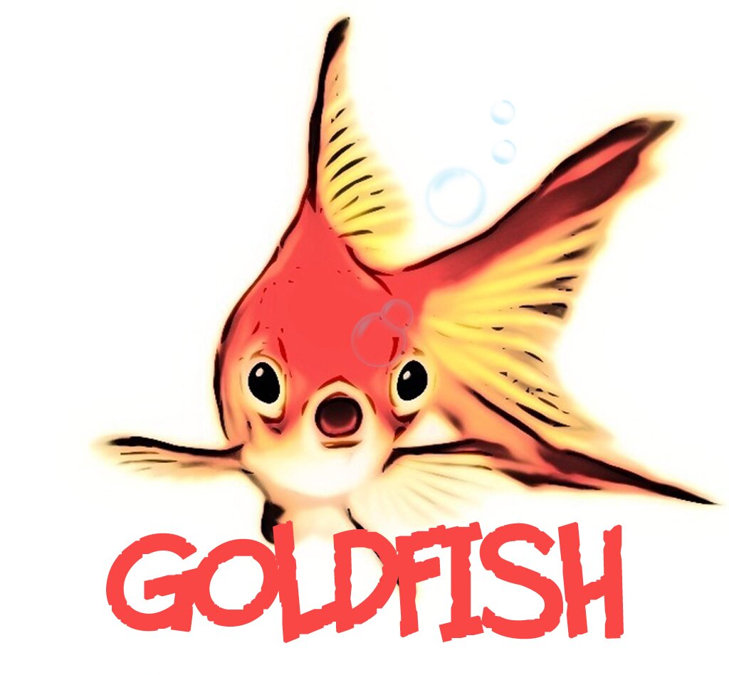 Goldfish has a memory span of 3 seconds. Don't be a Goldfish. COMING SOON