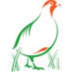 Game&WildConTrust Profile