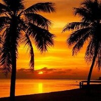 The Villages-Florida (@thevillages_55) 's Twitter Profile Photo The Villages-Florida (@thevillages_55) 's Twitter Profile Photo