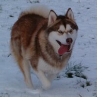 keith (@ogotrifkc) 's Twitter Profile Photo