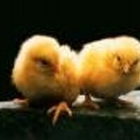 Benoît Delarce (@bdelarce) 's Twitter Profile