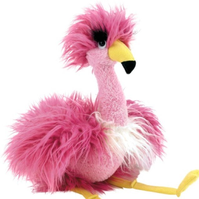 flamingofun71's profile picture. 