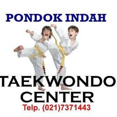 reebok taekwondo