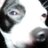 Dvdvg's profile image