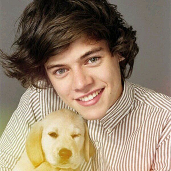 Dick Styles - that is all. #DickStyles for president