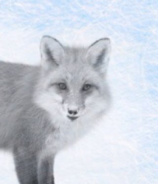 OrganizedFox's profile picture. Professional Organizer. 
Organized Like A Fox.
http://t.co/CoH0nW2U56