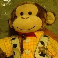 YmaDimAbsennol (@ymadimabsennol) 's Twitter Profile Photo YmaDimAbsennol (@ymadimabsennol) 's Twitter Profile Photo
