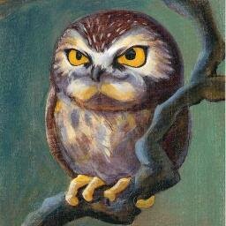 TheWryOwl's profile picture. A writer in San Francisco writing about trying to write..at a law firm? Always wait for the twist.
