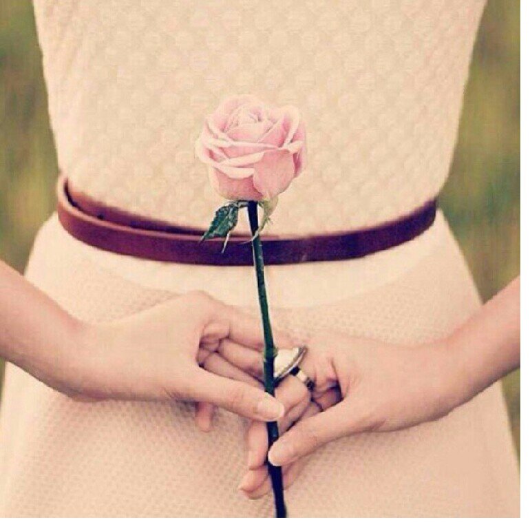 شــــــــيء ماتطولــــه لا تحـــــــــوم حولــــــــه .