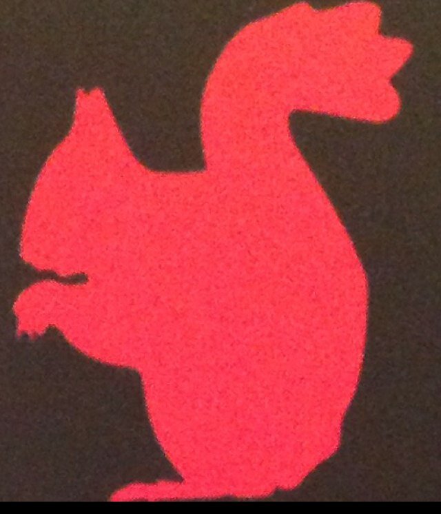 RSquirrelTravel's profile picture. 