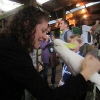Dr Shoshana Z. Weider שׁוֹשַׁנָּה (@szweider) 's Twitter Profile