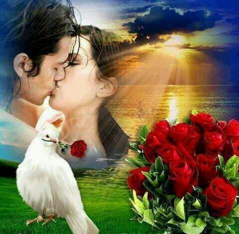 tcib60's profile picture. 