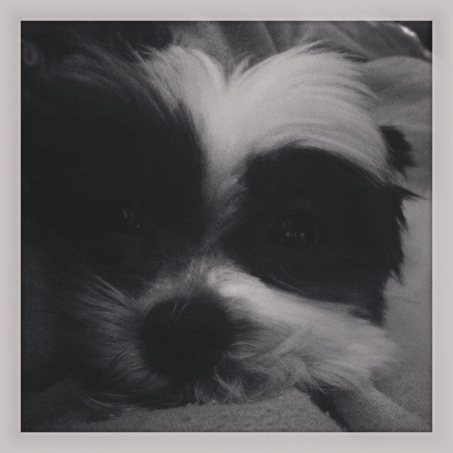 EmilyRadditz's profile picture. 