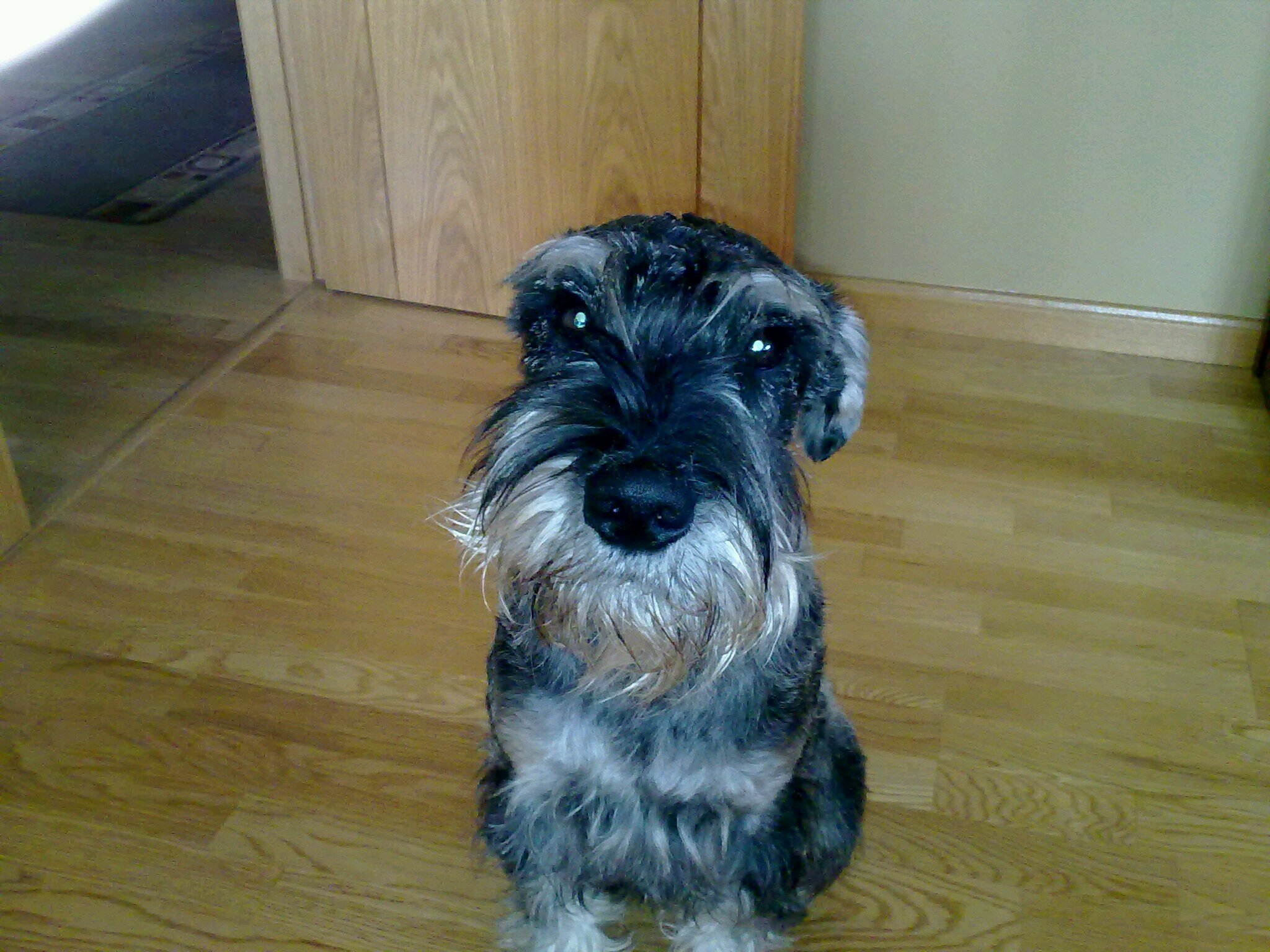 begosuarezm's profile picture. 