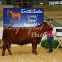 Abigail Earle - @AbiEarle - Twitter