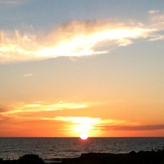 MWelberg's profile picture. 