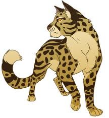 Bastthecatgod's profile picture. Hi guys I'm back Starclan has sent me to help with the great battle and so I have come back as a spirit to fight Tigerstar alongside my clan Thunderclan attack!