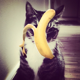 Ruschka's profile picture. Editor and Digital Strategist