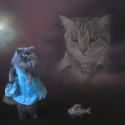 splitsurround's profile picture. as a guitarist I’m probably a strong 4