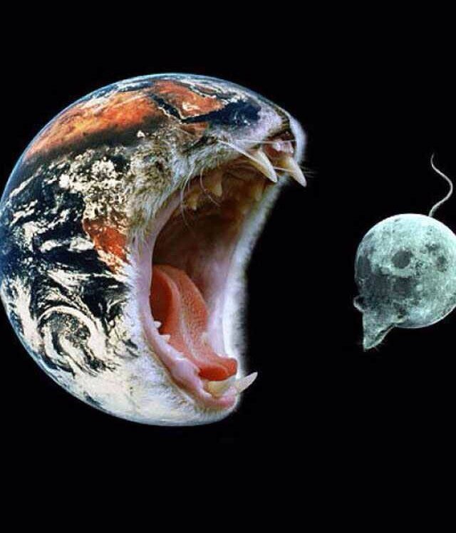 abdullah0_098's profile picture. اذا كنت من متابعيني فإنني أفكر فيك للتوّ
  وإذا ابتسمت ؟
 فَإني أحب ابتسامتك هذه