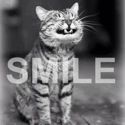 http://t.co/Amt9iUVgXz